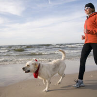 Dog Owner Liability for Injuries Dog Owner Liability for Injuries