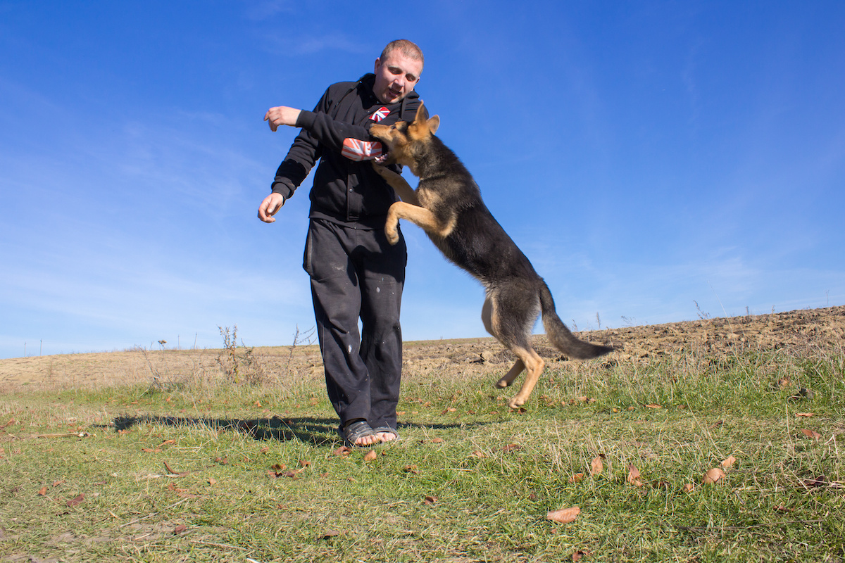 Landlord Not Liable for OffPremises Dog Bite by (Former)Tenant’s