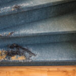Old Staircase with damaged carpet needs a fixer upper