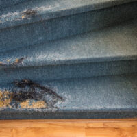 Old Staircase with damaged carpet needs a fixer upper
