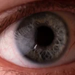 Close-up of a human eye with a blue-grey iris, detailed textures, and reflections. The eyelashes and veins in the sclera are visible, conveying focus.